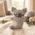 Ricorumi Mini koala amigurumi horgolókészlet