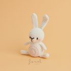 Horgoló készlet Ricorumi Állatok NYÚL Ricorumi Mini Easy Crochet Set – Häschen