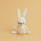 Horgoló készlet Ricorumi Állatok NYÚL Ricorumi Mini Easy Crochet Set – Häschen