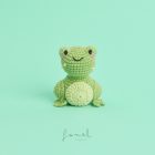 Horgoló készlet Ricorumi Állatok BÉKA  Ricorumi Mini Easy Crochet Set – Frosch